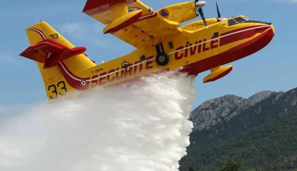 Panache de fumée s'élevant au-dessus d'une forêt touchée par un incendie