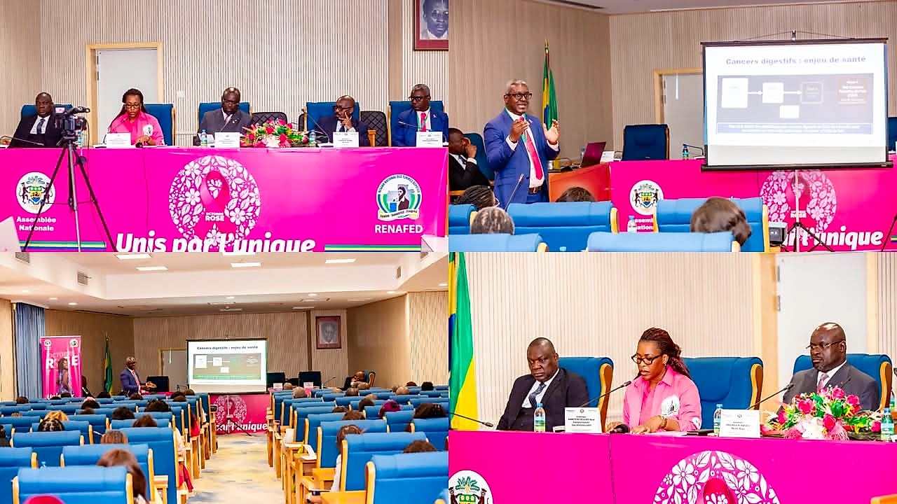 Salle de l'Assemblée nationale gabonaise décorée pour Octobre Rose, avec des femmes députées.