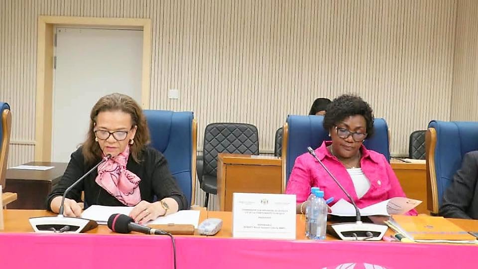 Hémicycle de l'Assemblée nationale du Gabon lors d'une séance plénière
