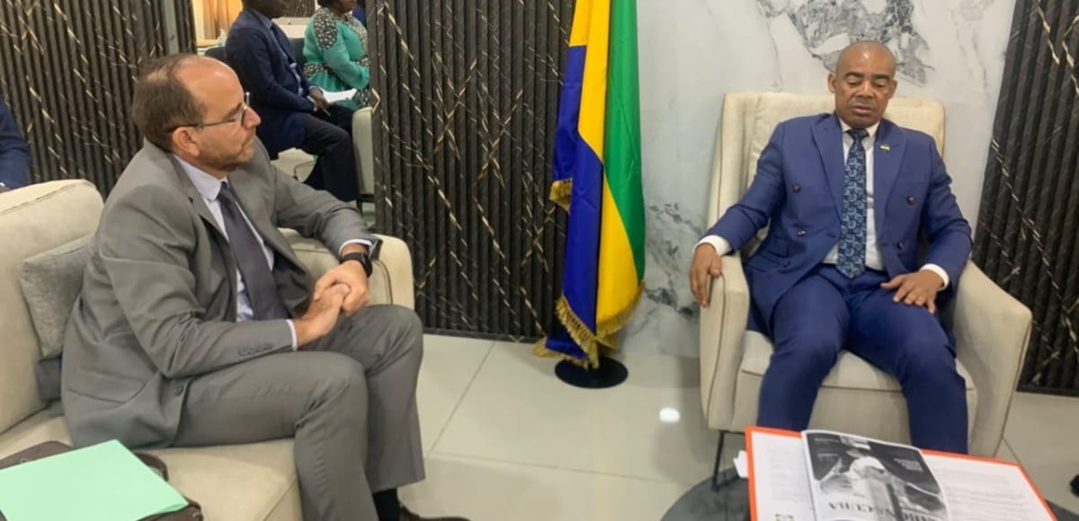 Ministre et ambassadeur en discussion dans un bureau officiel avec drapeaux du Gabon et de Cuba