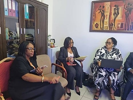 Bâtiment consulaire gabonais avec drapeau national
