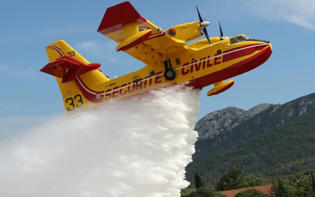 Panache de fumée s'élevant au-dessus d'une forêt de pins partiellement brûlée