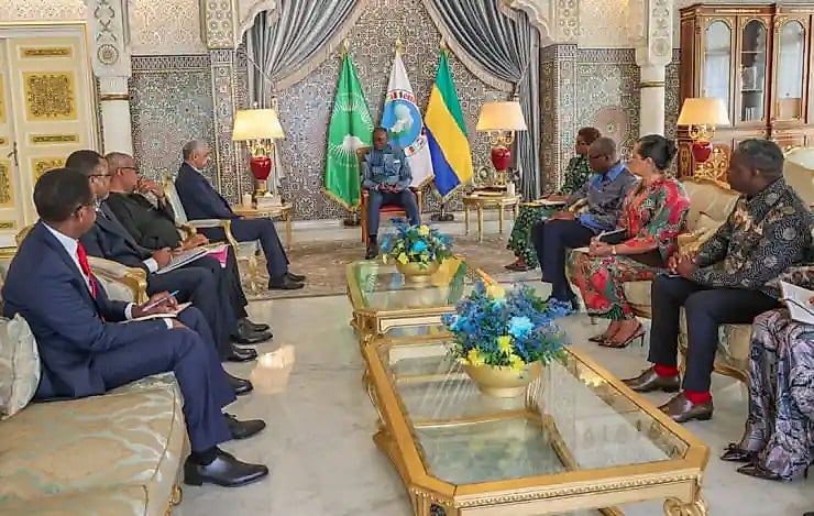 Le Chef de l'État gabonais serrant la main du président de la Banque africaine de développement lors d'une audience officielle