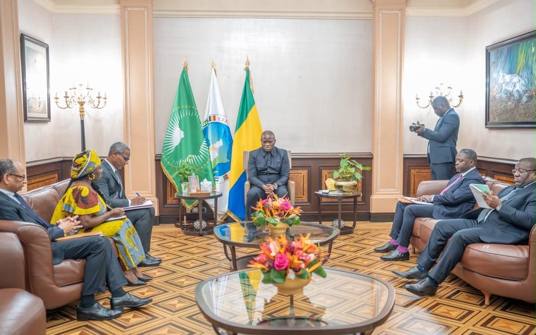 Palais présidentiel gabonais, cadre d'une audience officielle