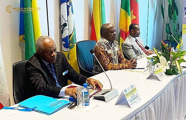 Réunion ministérielle de la CEMAC à Libreville sur le système d'information énergétique communautaire