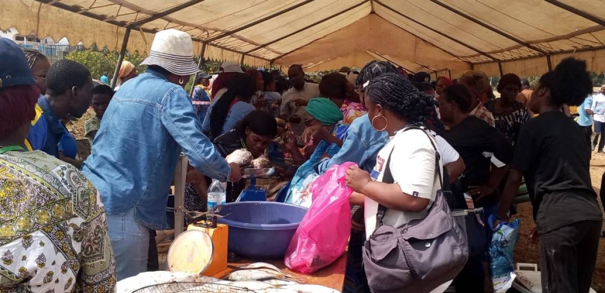 Marché en plein air avec des étals de poisson frais et des personnes qui font leurs achats