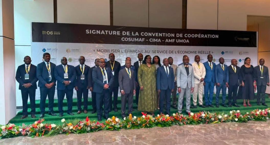Visualisation graphique de trois institutions financières africaines connectées entre elles