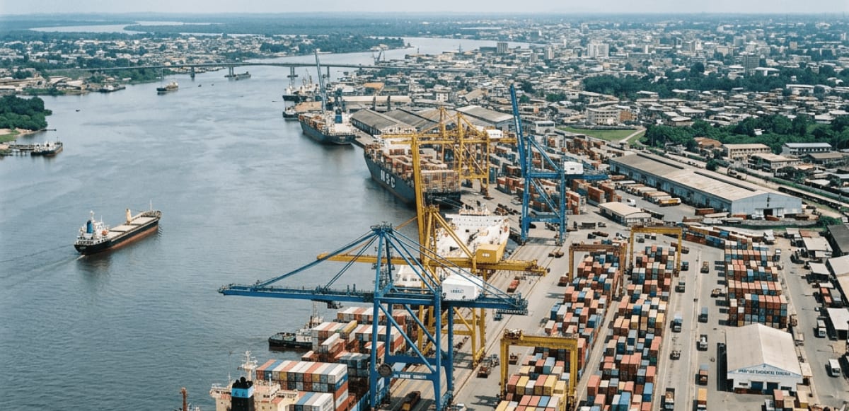 Vue aérienne d'un port maritime avec plusieurs cargos et un chenal de navigation.