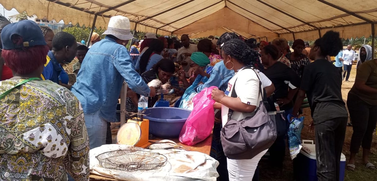 Vendeuses proposant du poisson frais sur des étals lors d'une foire en plein air au Gabon
