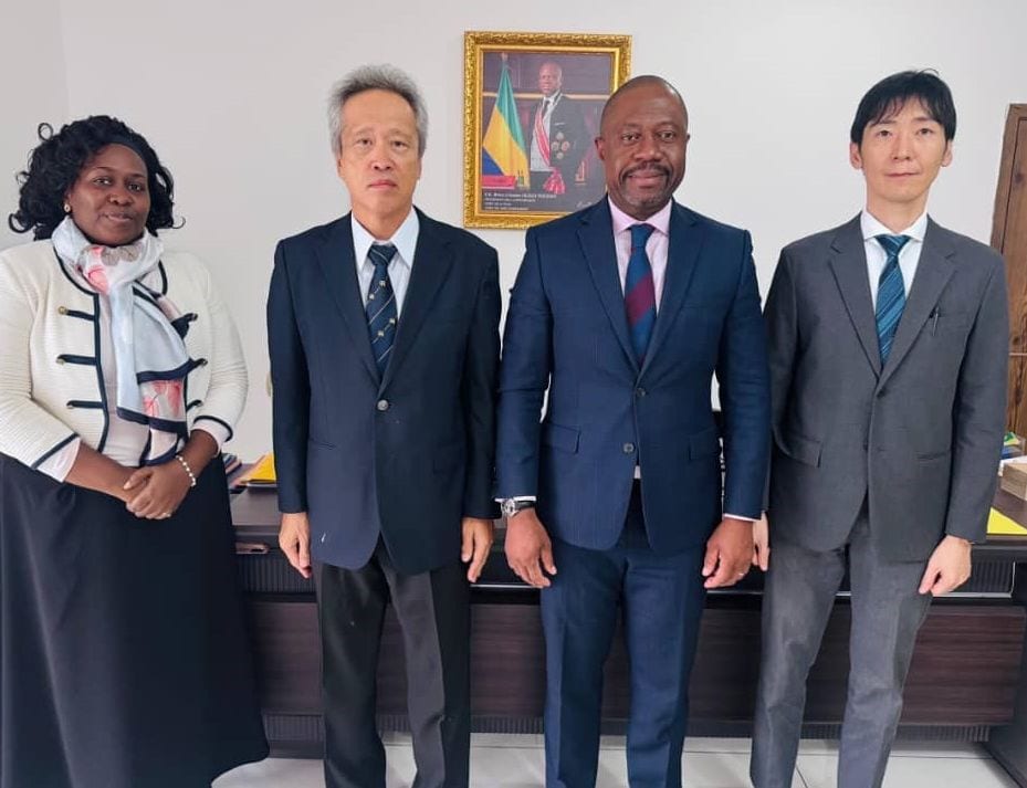Parcelle agricole cultivée au Gabon, illustration de la coopération agricole avec le Japon