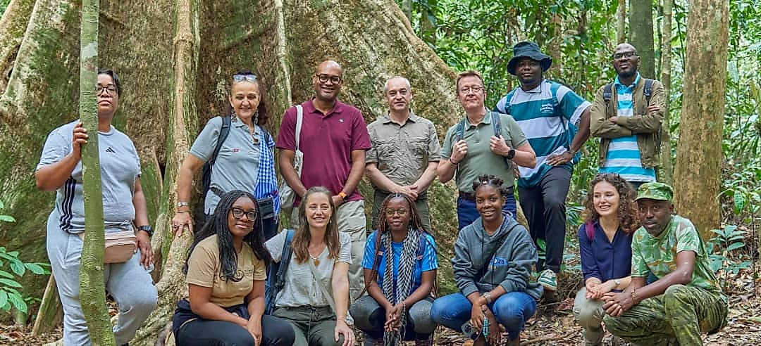 Chercheurs marchant en discutant dans un arboretum tropical au Gabon