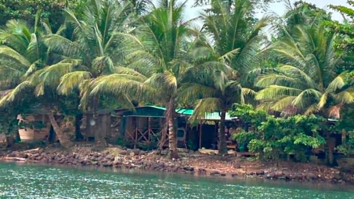 Île verdoyante entourée de mangroves vue du ciel