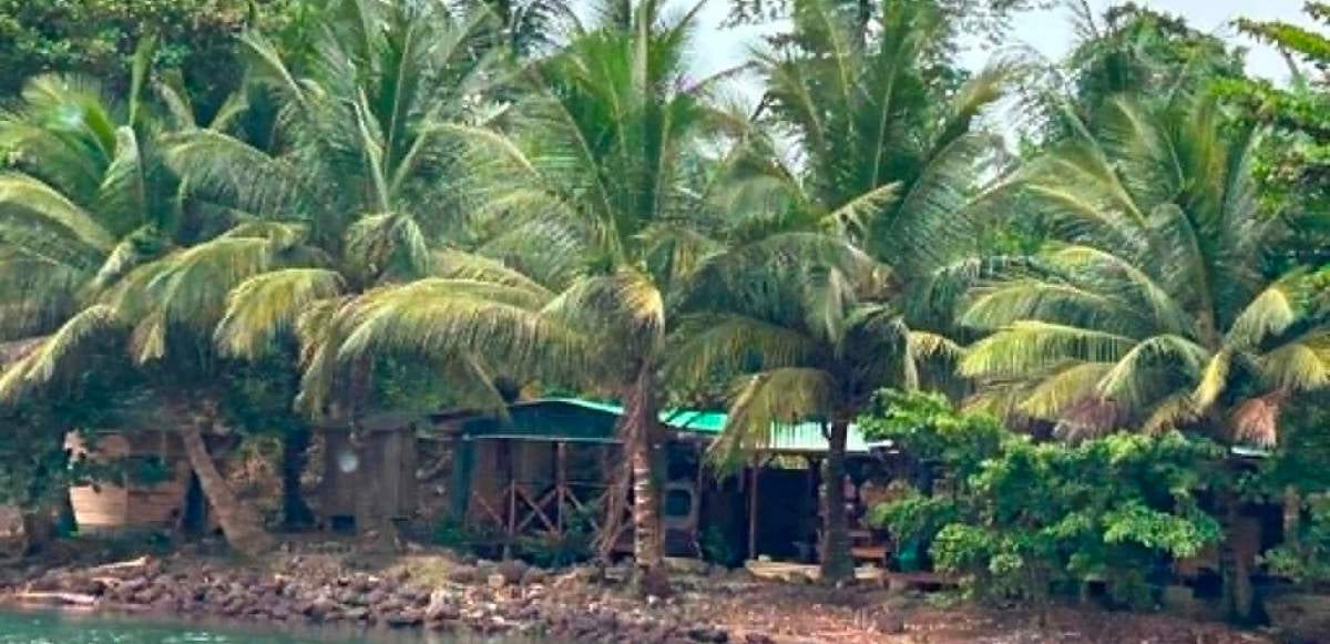Île couverte de mangroves et de forêt dense dans un estuaire gabonais