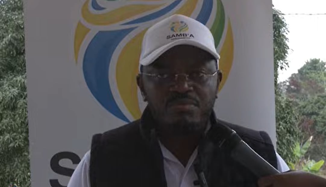 Élevage de poulets de chair dans une ferme avicole gabonaise