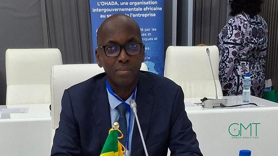 Drapeaux de pays africains alignés dans une salle de conférence internationale