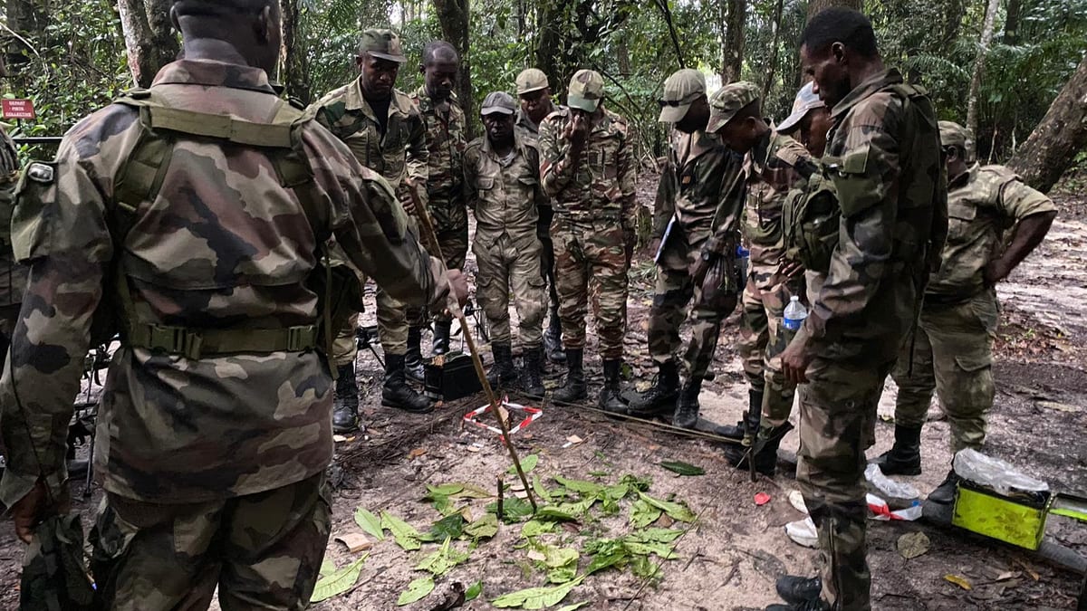 Soldats en tenue de combat effectuant des travaux agricoles dans un champ au Gabon