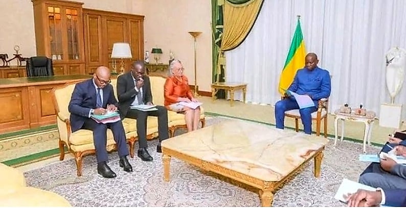 Séance de travail à la présidence gabonaise sur la réforme de l'emploi et de la formation professionnelle