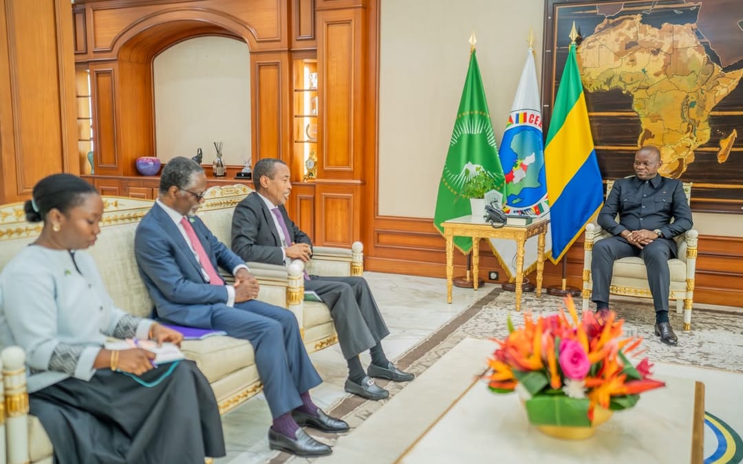 Rencontre officielle entre le président gabonais et une délégation internationale