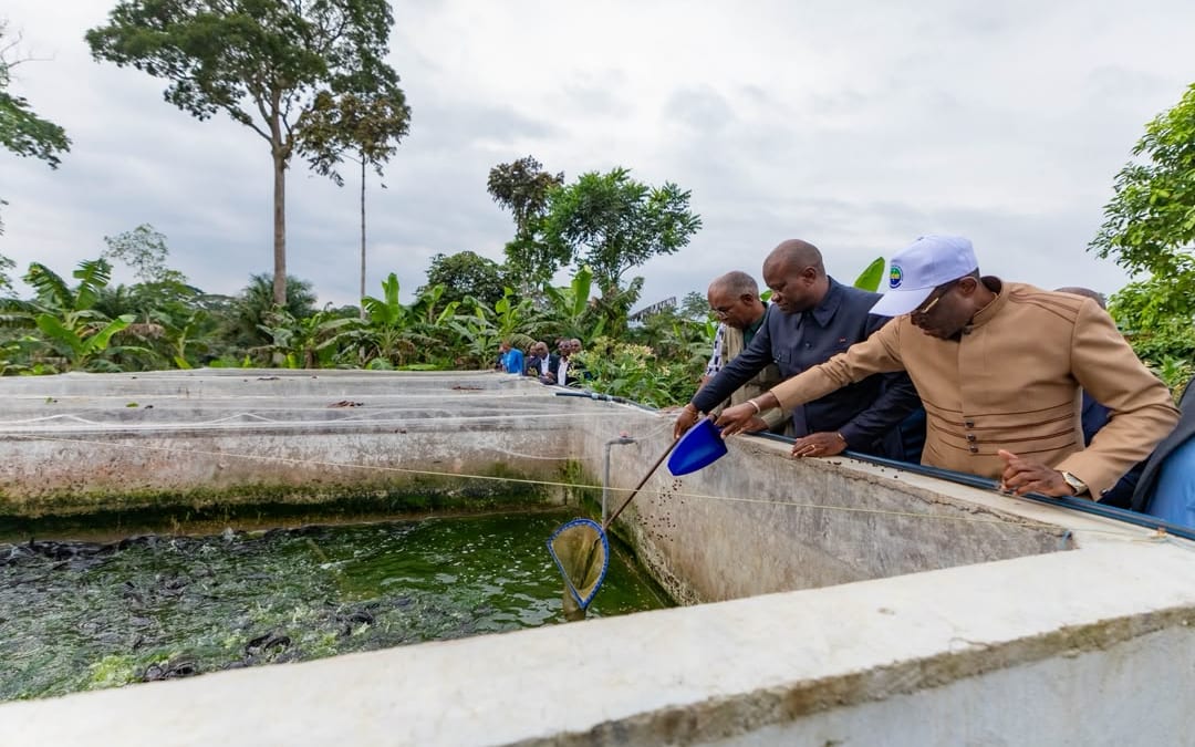 Déplacement présidentiel dans une province du nord du Gabon