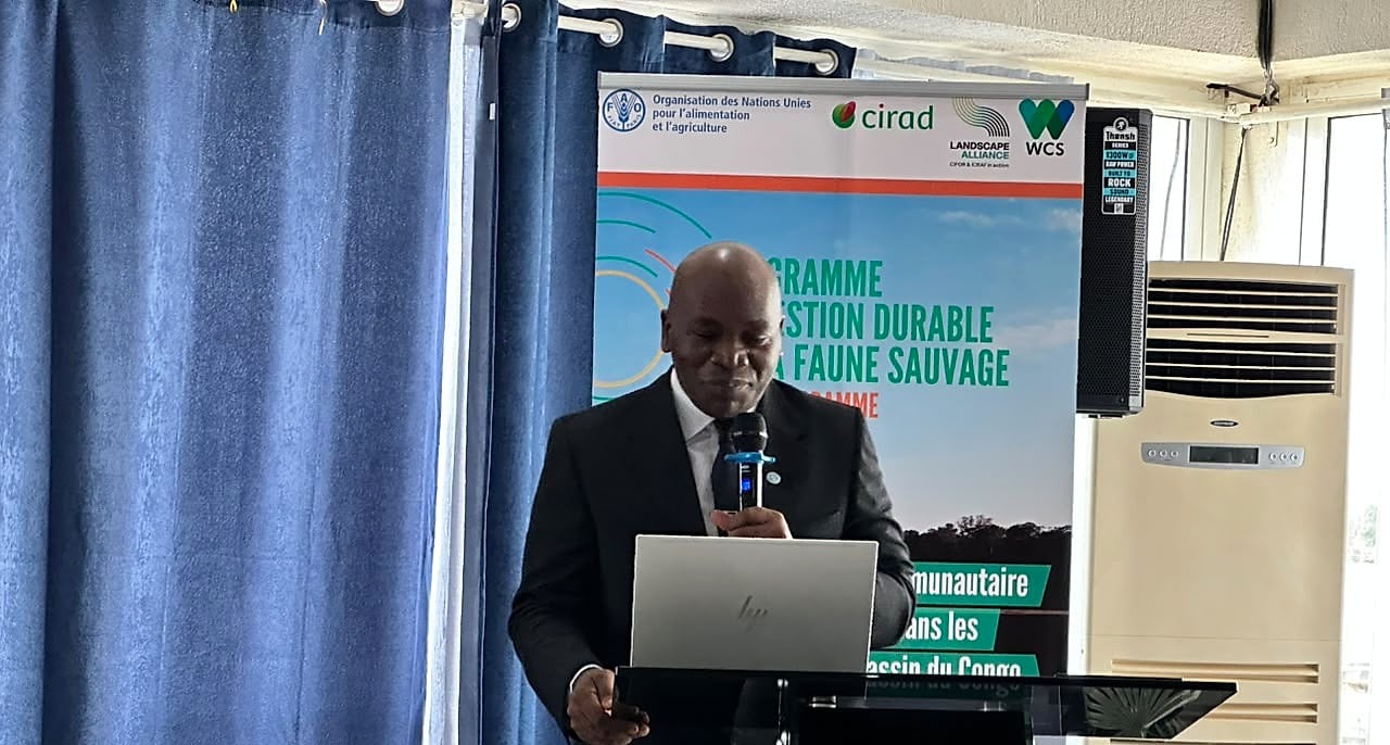 Salle de l'atelier sous-régional sur la gestion durable de la faune sauvage à Libreville.