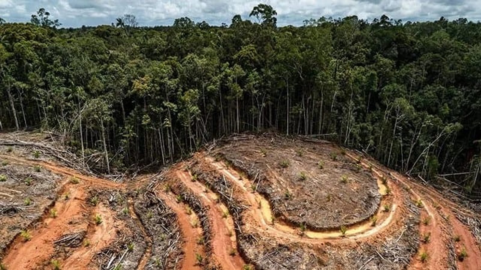 Zone de forêt gabonaise dégradée par une exploitation minière vue depuis les airs