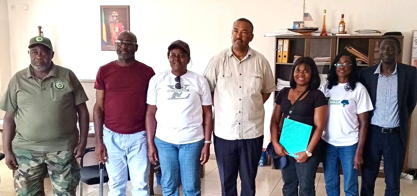 Grumes de bois empilées sur un site d'exploitation forestière au Gabon