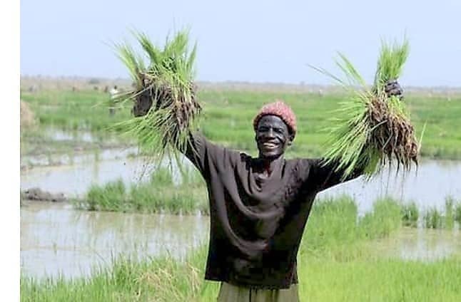 Barrage collinaire entouré de champs agricoles irrigués