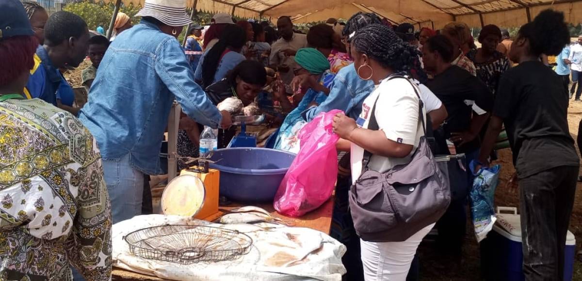 Marché en plein air avec des étals de poissons et des personnes qui font leurs achats