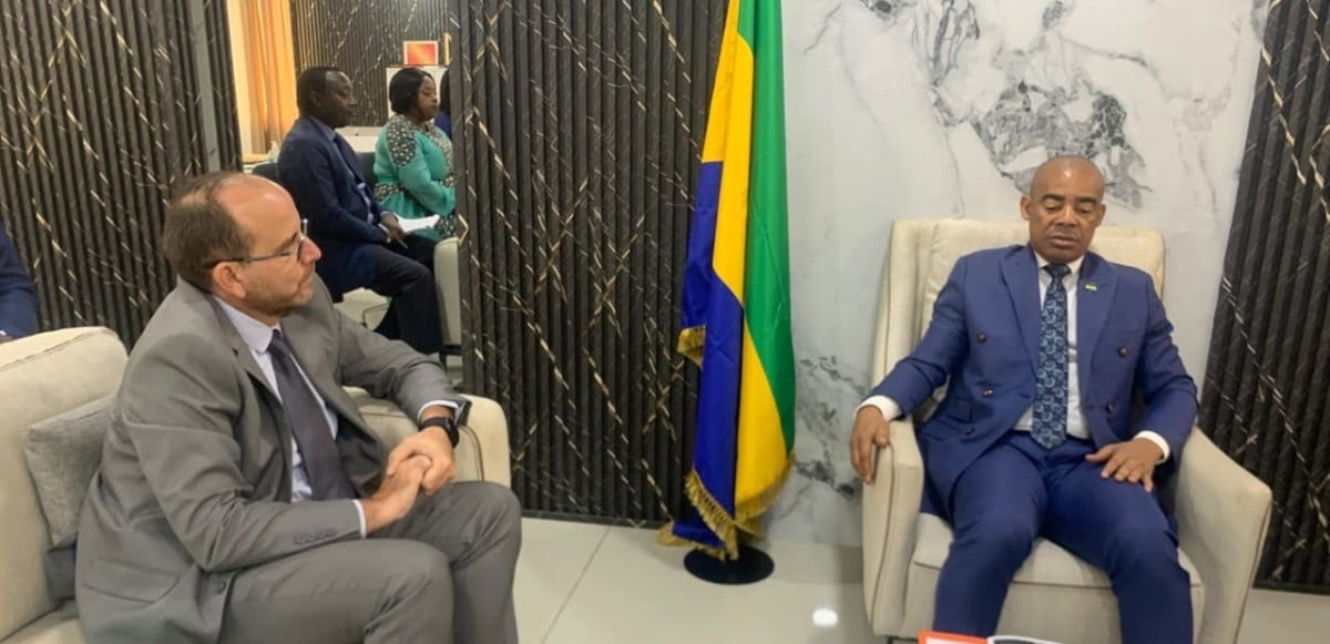 Rencontre officielle entre un ministre gabonais et un ambassadeur, dans un bureau institutionnel.