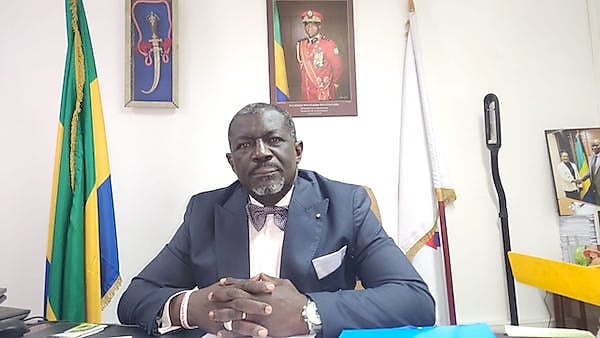 Drapeaux du Gabon et de la France lors d'une visite officielle