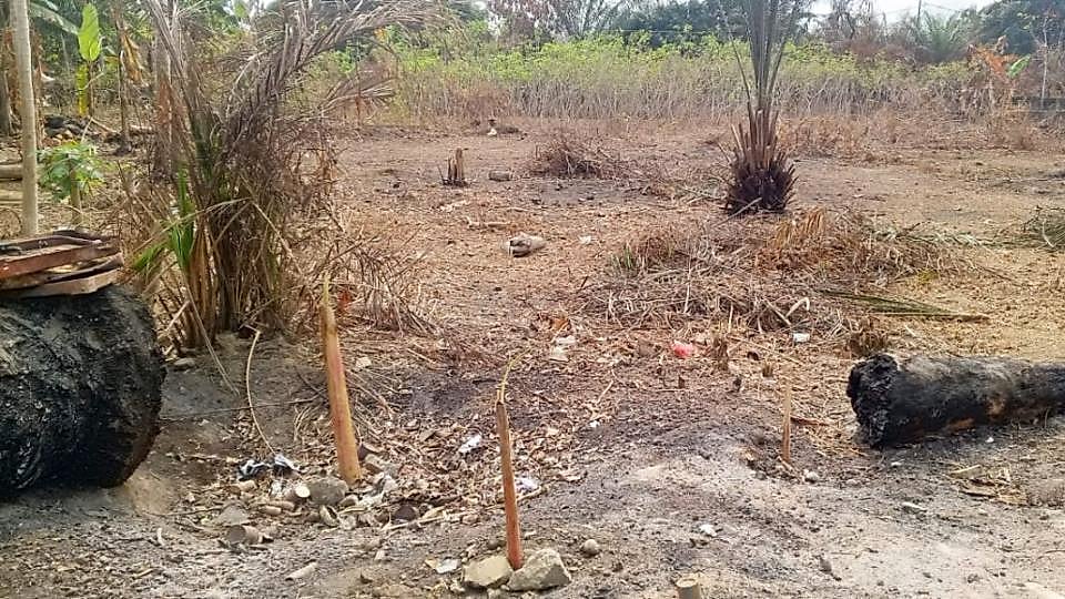 Des habitants de Tchibanga transportant des bidons d'eau sous la chaleur, en l'absence de précipitations.