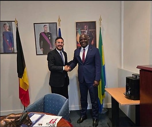 Immeubles institutionnels de Bruxelles avec le drapeau du Gabon