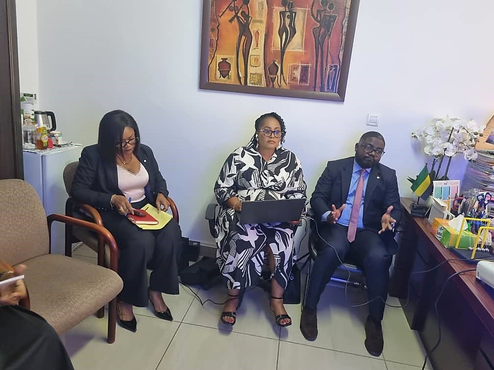 Bâtiment d'une représentation diplomatique gabonaise avec le drapeau du Gabon