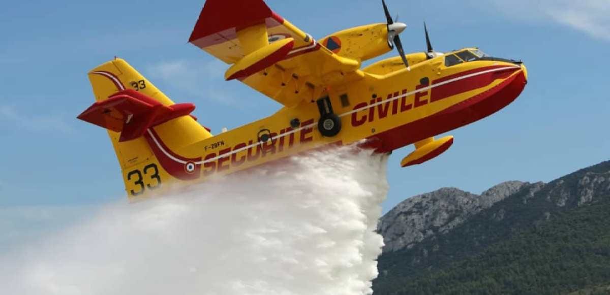 Fumée s'élevant au-dessus d'une forêt touchée par un incendie