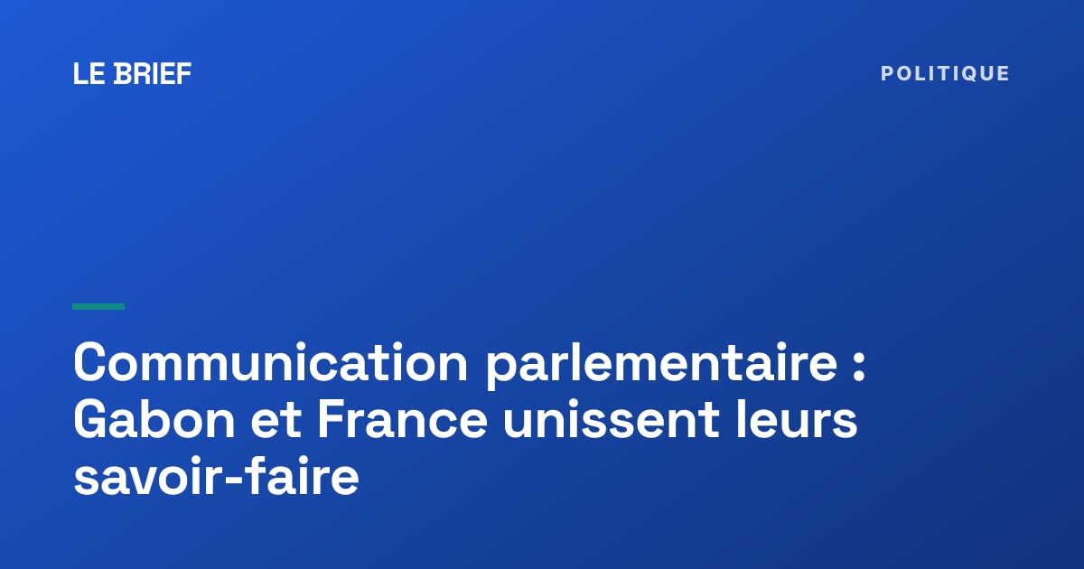 Séance de formation réunissant des cadres parlementaires gabonais