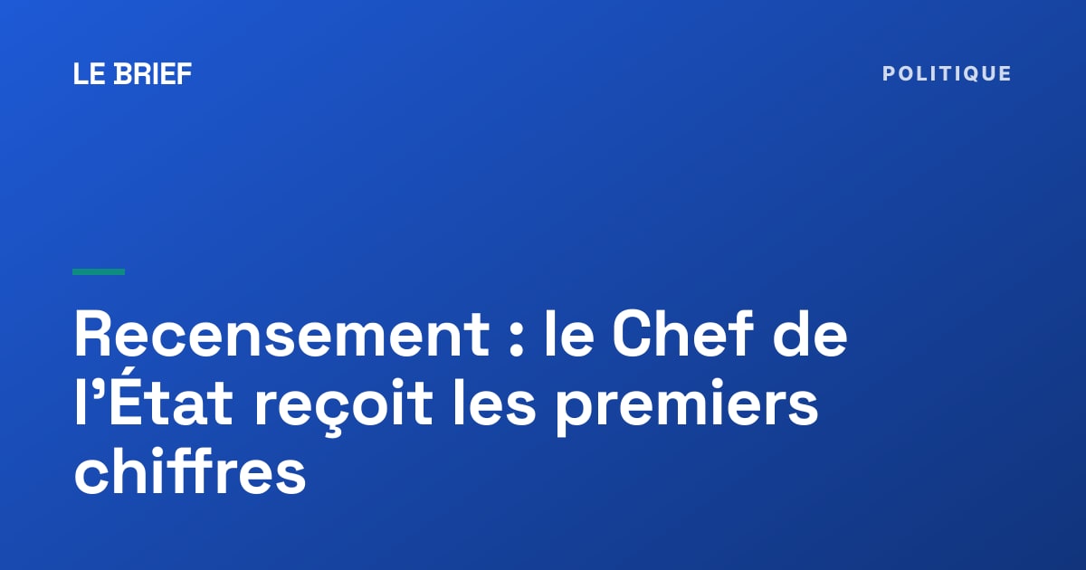 Remise d'un document officiel lors d'une audience présidentielle