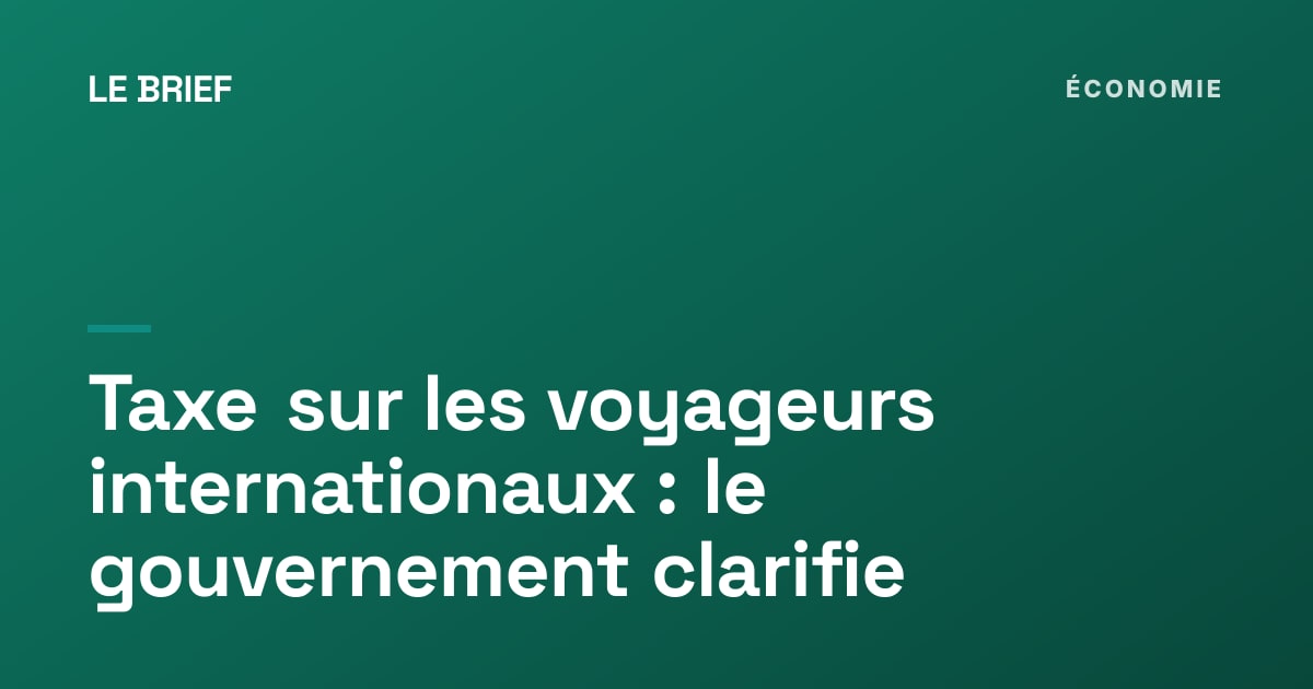 Voyageurs dans un terminal d'aéroport avec leurs bagages